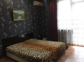 Apartment on Chkalova 32
